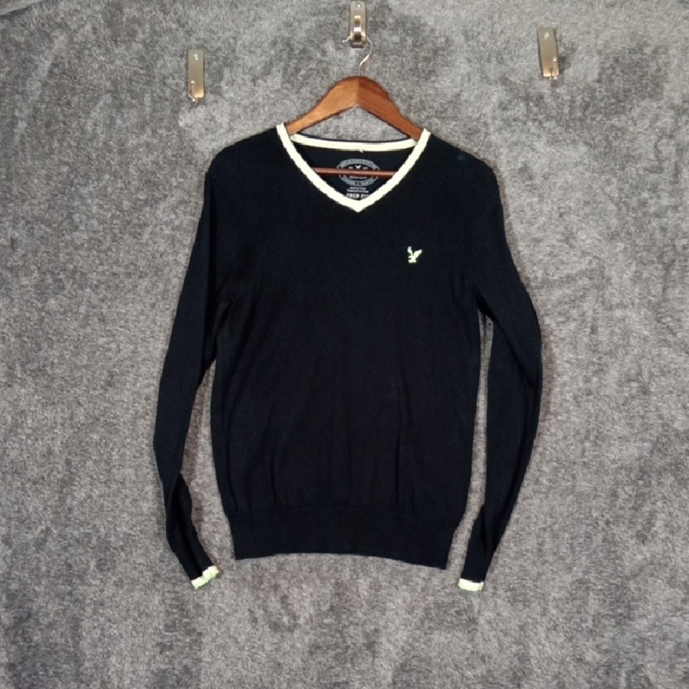 American Eagle Outfitters Mens Sweater V Neck Prep Fit 2013 Y2k Inspired Small